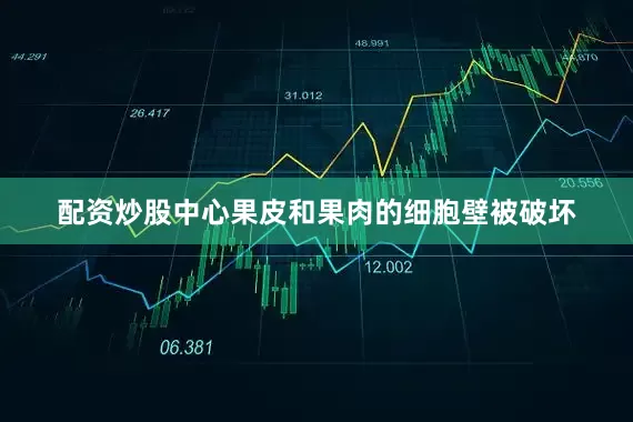 配资炒股中心果皮和果肉的细胞壁被破坏