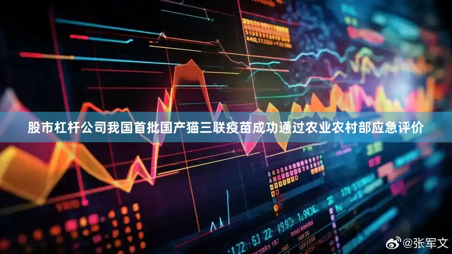 股市杠杆公司我国首批国产猫三联疫苗成功通过农业农村部应急评价