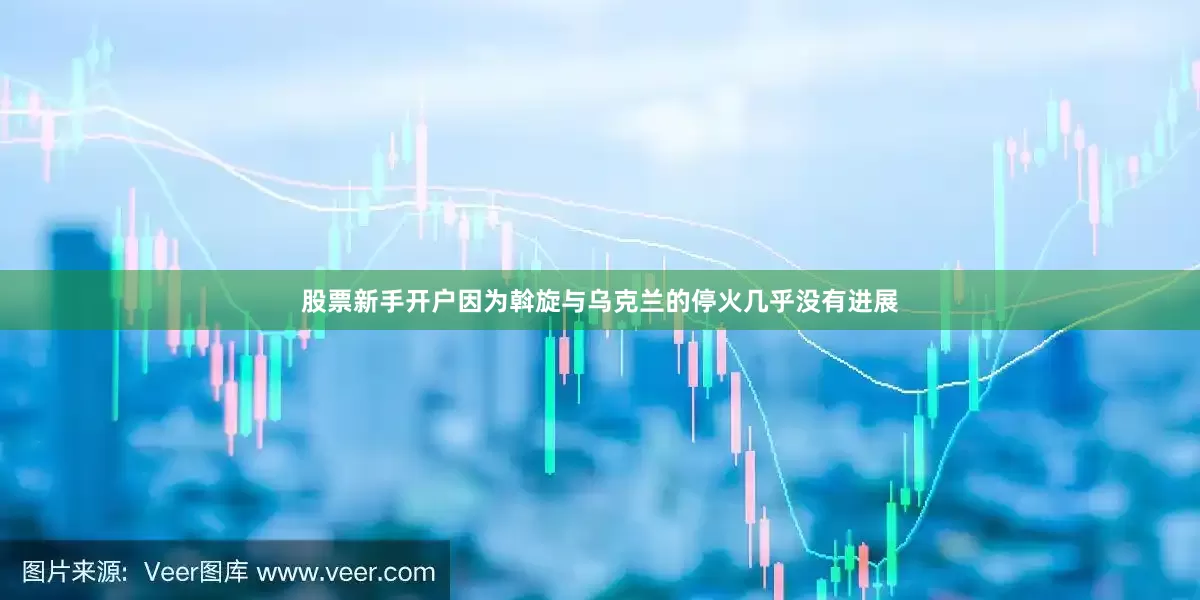 股票新手开户因为斡旋与乌克兰的停火几乎没有进展